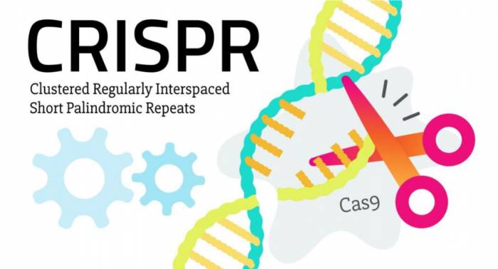 Gene editing: the ultimate solution for treating cancer and genetic diseases.