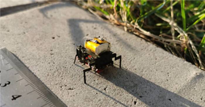 Insect robots "grow" bionic legs, running faster and more stably than "little st